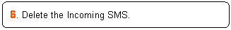ꨤx: 6. Delete the Incoming SMS.
